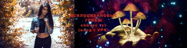 spice Елабуга