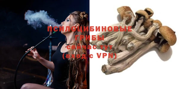 Альфа ПВП Ельня