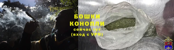 PSILOCYBIN Елизово
