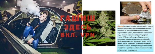 PSILOCYBIN Елизово