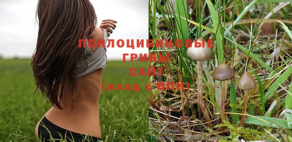 PSILOCYBIN Елизово